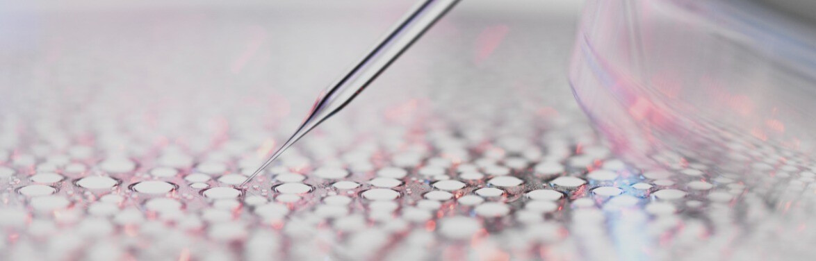 Discover our unique scientific approach, ecobiology.